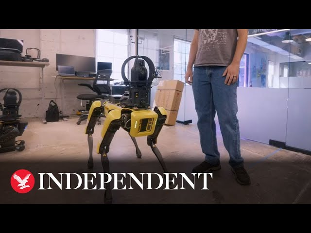 Robot dogs can now ‘talk’ thanks to ChatGPT AI