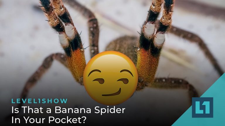 The Level1 Show October 6 2023: Is That a Banana Spider In Your Pocket?