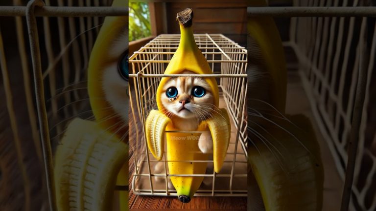 Banana Cat?! #cat #animals #cute