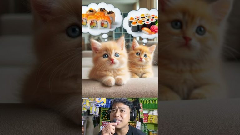 Kucing kembar ngiler sushi #chatgpt #kucing #sushi