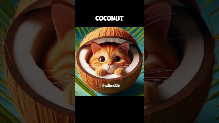 cat is a coconut #cat #memes #cutecat #shorts #catvideos #shortsviral #foryou #coconut #ai