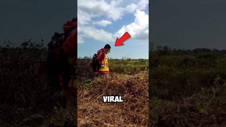 pria ini viral setelah melepaskan burung yang gagal terbang #viral