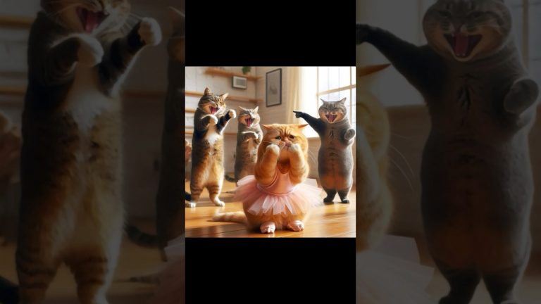 Ballerina cat bullied #cat #cats #cutecat #shorts #catvideos #shortsviral #foryou