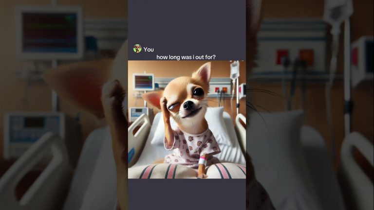 Chihuahua wakes up from a long coma (ai edition) #ai #memes #chatgpt