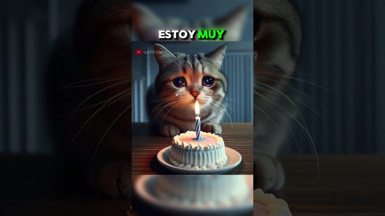 El cumpleaños del gatito #humor #memes #ia #chatgpt #gatos #gatitoai